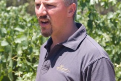 A lesson in viniculture