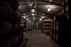 Fox Creek's celler