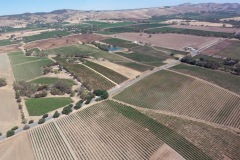 not much else does after 5 years of drought