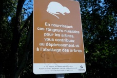 Don't feed the Roungeur!