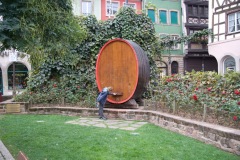 Sarah looking for a drink