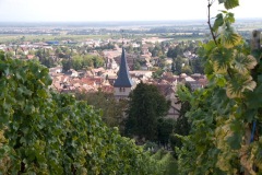 View of Barr