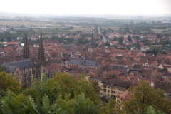 View of Obernai (from Monument)