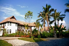 Jasmine rice village