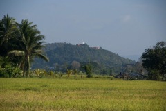 a view from our resort