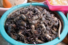 ...to make a bucket of crabs taste better