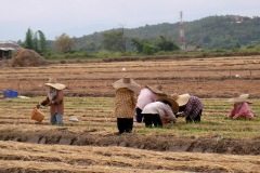 I put Sarah to work to help pay for the trip (she's the one in the hat)