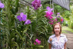 We stop to admire orchids