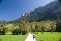 Alpine walk