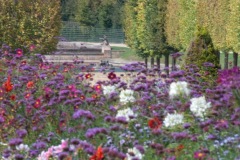 Gardens at Versailles