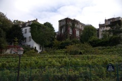 Only vineyard in Paris