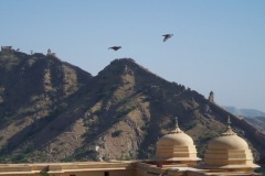 lookout towers and protective wall